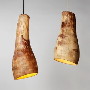 Agave Wood Pendant Light, Etsy DESIGN AWARD FINALIST, Eco friendly Decorative Rustic chandelier, Optional Plug in pendant light image 1