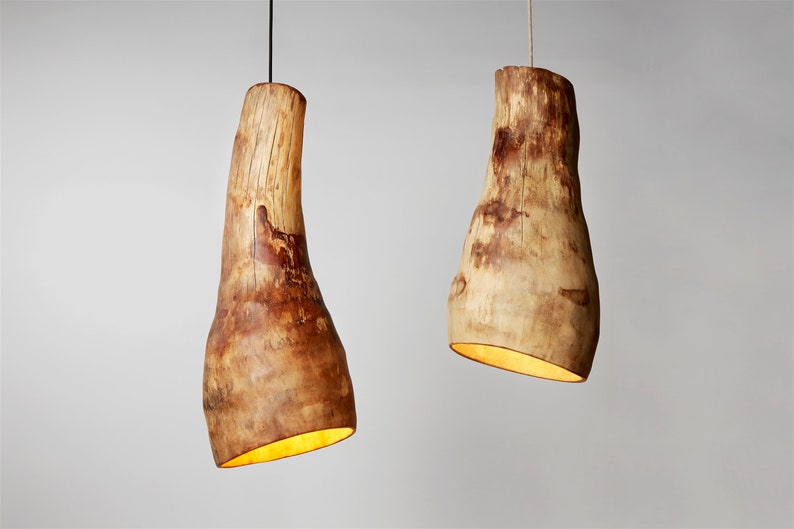 Agave Wood Pendant Light, Etsy DESIGN AWARD FINALIST, Eco friendly Decorative Rustic chandelier, Optional Plug in pendant light image 1