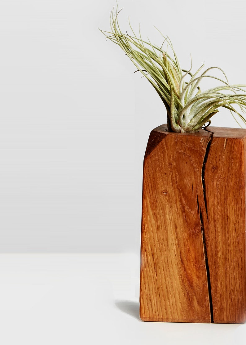 Air Plant Holder Plant Stand Air Plant Modern Plant Decor Etsy