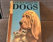 The Big Book of Dogs 1952 Edition, Text by Felix Sutton, Illustrated by Percy Leason