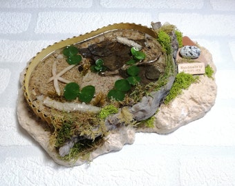 mini water garden with transparent resin