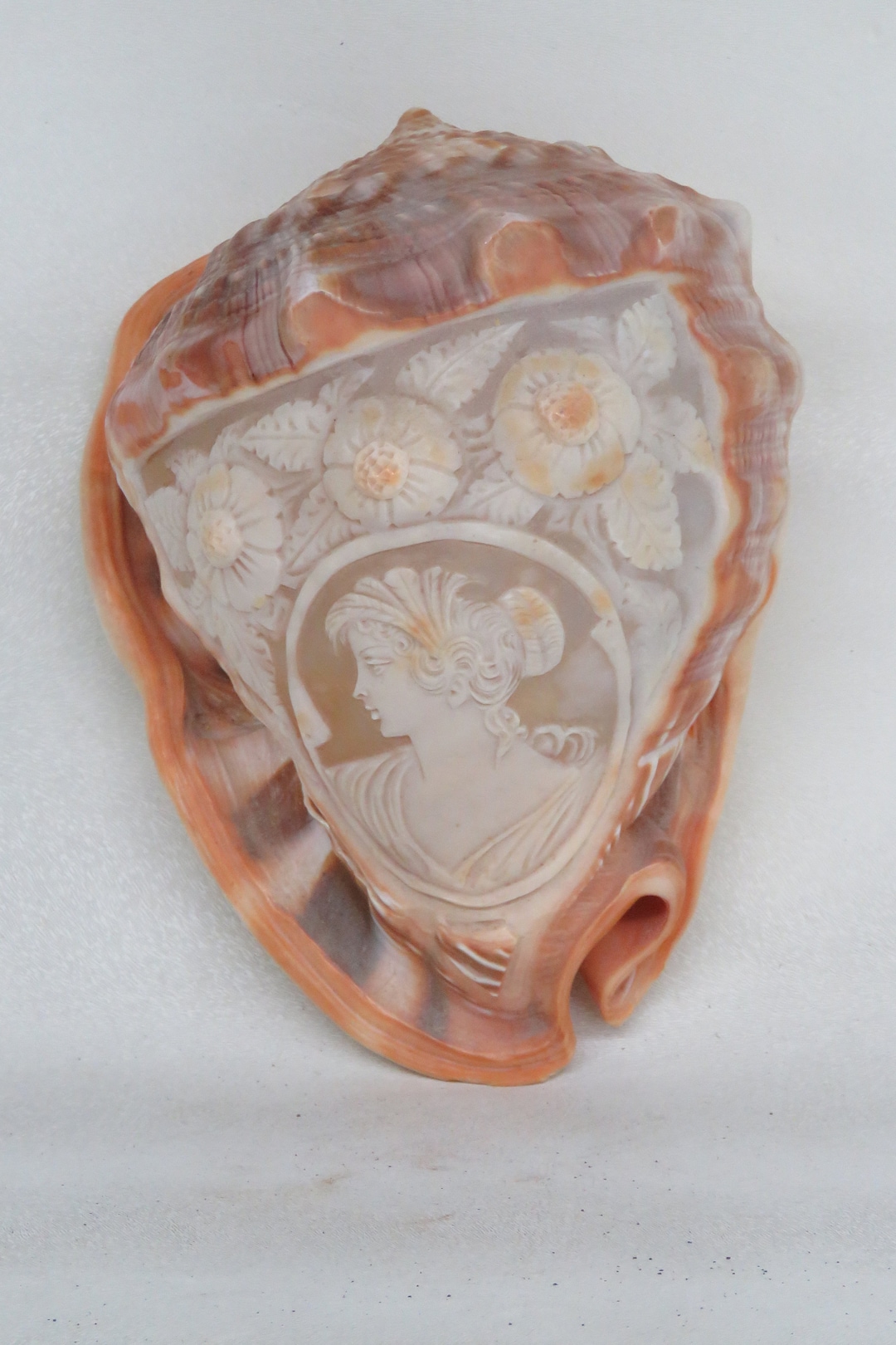 Hand Carved Cameo Conch Shell Italy Signed 3893B Etsy