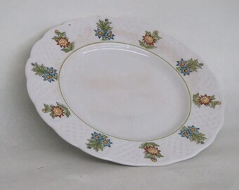 Royal Cauldon Bristol Ironstone June Garden Floral Ceramic Plate 3180B