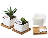 3.35 quot Ceramic Succulent Pot, Ceramic Planter Set, Cactus Planter Container, Square Pot, Bamboo Tray, Plants Not Included, 1, Set of 2 or 3