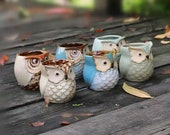 Owl Planter, Owl Succulent Pot,Mini Owl Planter Set, Small Ceramic Planter, Cactus Planter Container, Plant Not Included, One, Set of 3 or 6