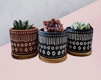 2.8" Inch Succulent Planter Set, High Quality, Trio, with Trays, Concrete Planter, Planter Pot, Succulent, Cactus Pot, Plants Not Included