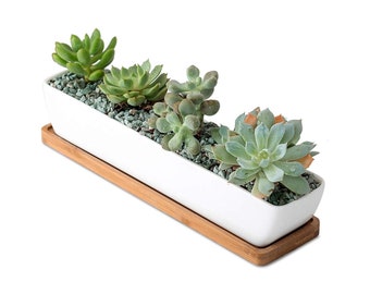 Rectangular Mini Planter, Long Ceramic Planter, 11" Planter, Succulent Pot, Cactus Planter, Ceramic Long Planter, w Tray, Plant Not Included