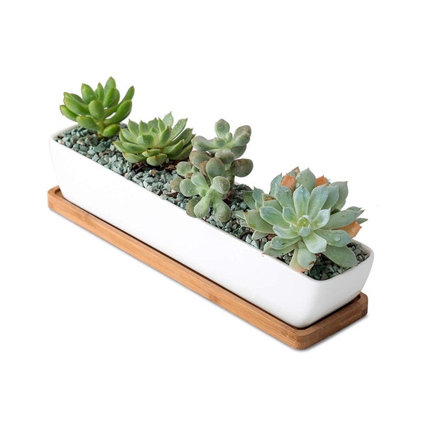 Mini jardinière rectangulaire, jardinière longue en céramique, jardinière de 11 po., pot de succulentes, jardinière de cactus, jardinière longue en céramique, avec plateau, plante non incluse