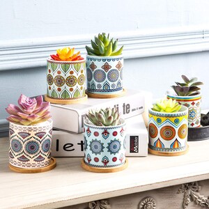 Mandala Succulent Planter Set, 3 Inch Planters, Set of 6, with Trays, with Drainage Hole, Planter Pots, Succulent Pot, Plants Not Included image 1