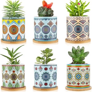 Mandala Succulent Planter Set, 3 Inch Planters, Set of 6, with Trays, with Drainage Hole, Planter Pots, Succulent Pot, Plants Not Included image 3