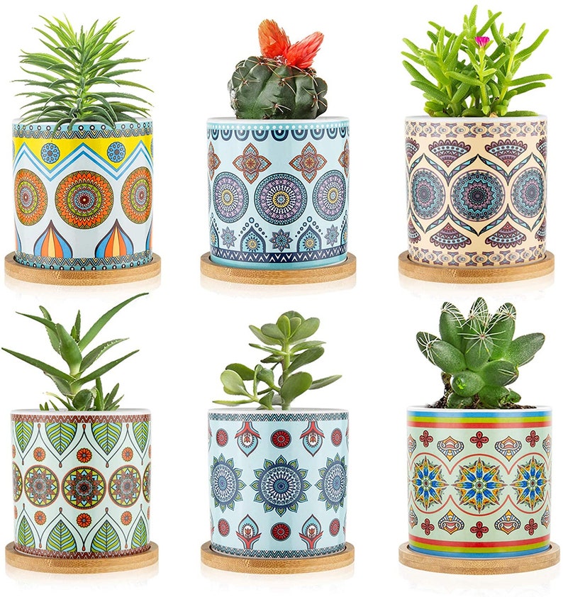 Mandala Succulent Planter Set, 3 Inch Planters, Set of 6, with Trays, with Drainage Hole, Planter Pots, Succulent Pot, Plants Not Included image 3