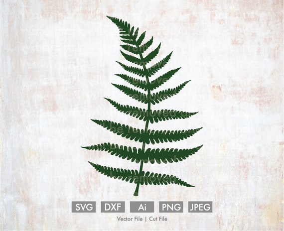 Fern Cutting File Vector Silhouette Cricut Svg Png Clip Etsy