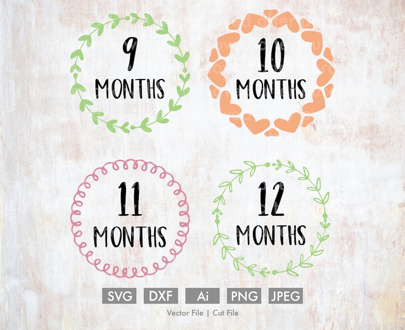 Download Baby Months 1-12 Svg Bundle Cut File/Vector Silhouette | Etsy