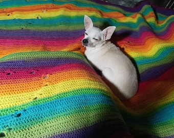 Paw Prints of my Heart