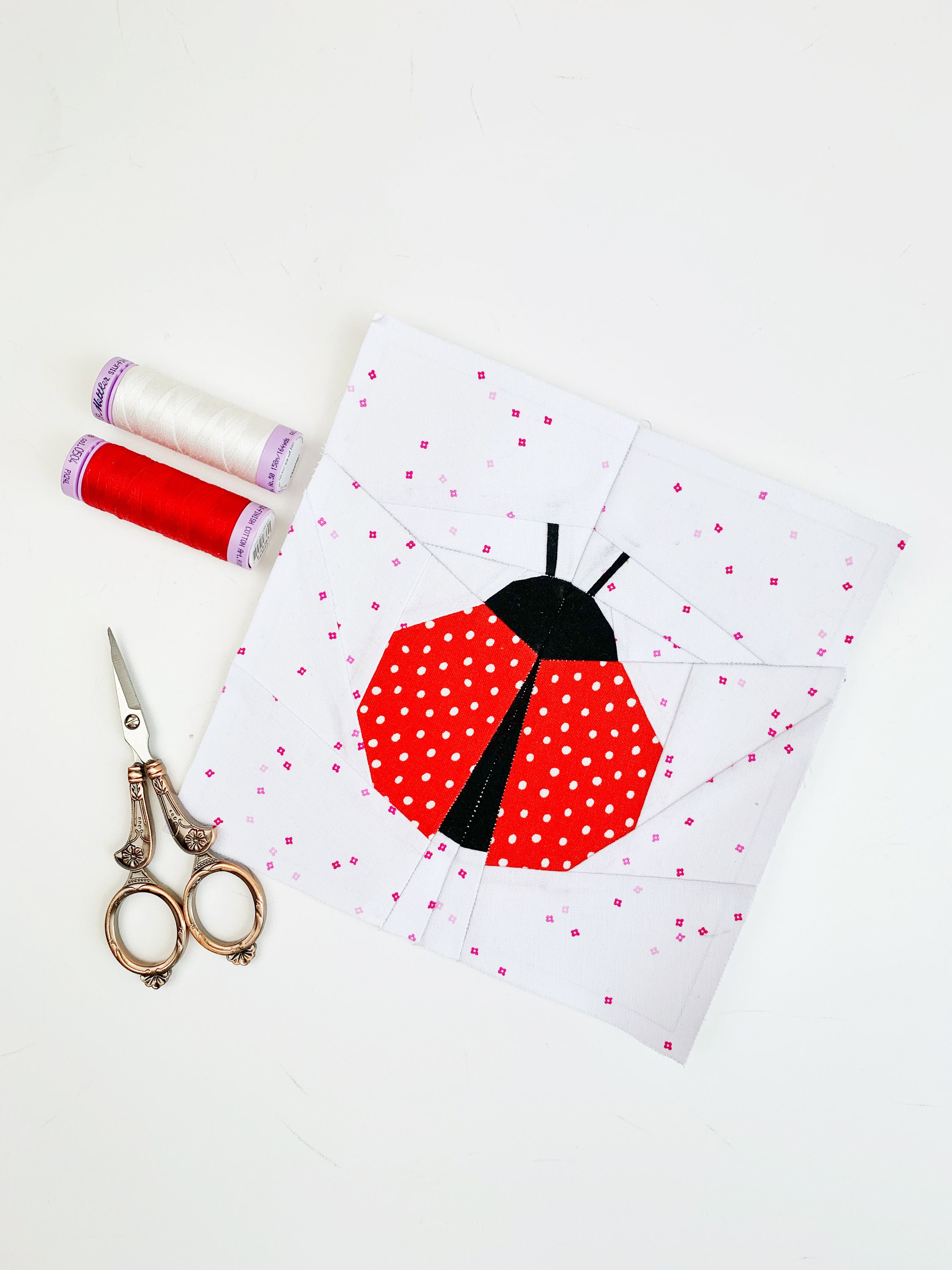 Ladybug Quilt Block Pattern: Foundation Paper Piecing (PDF Download) - Etsy