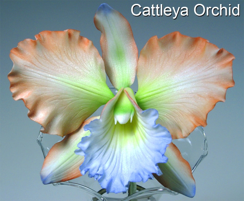 set of 3, petal, sepal and throat Cattleya Orchid Silicone Veiner