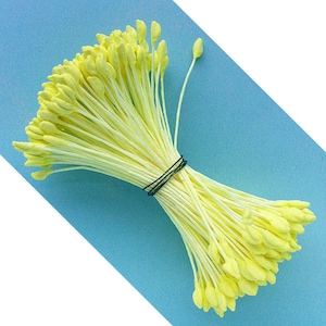 Peut inclure: Un bouquet d'étamines jaune pâle, attachées avec un élastique noir, sur un fond bleu clair. Les étamines ont de longues tiges et des extrémités arrondies, suggérant un élément floral pour l'artisanat.