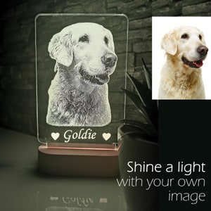 Personalized Golden Retriever LED Lamp: Dog Memorial Gift