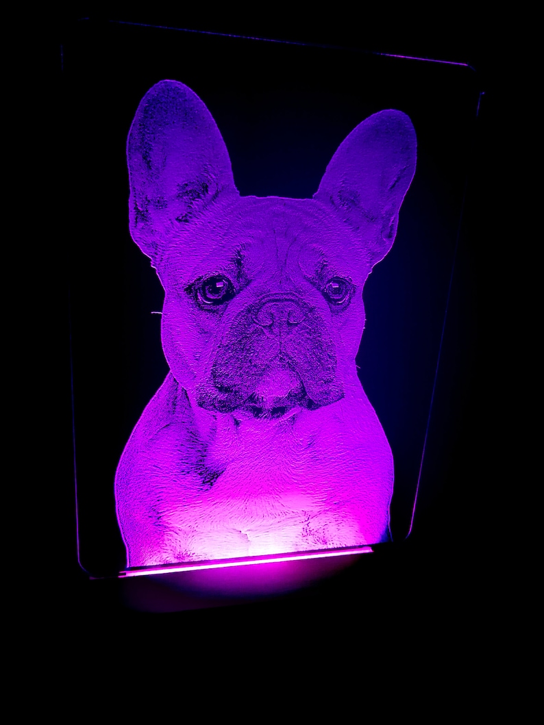 French Bulldog LED Lamp French Bulldog Lover Gift Gift for - Etsy UK