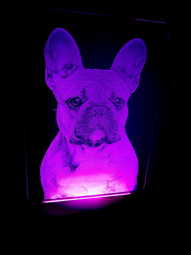 French Bulldog LED Lamp French Bulldog Lover Gift Gift for Etsy UK