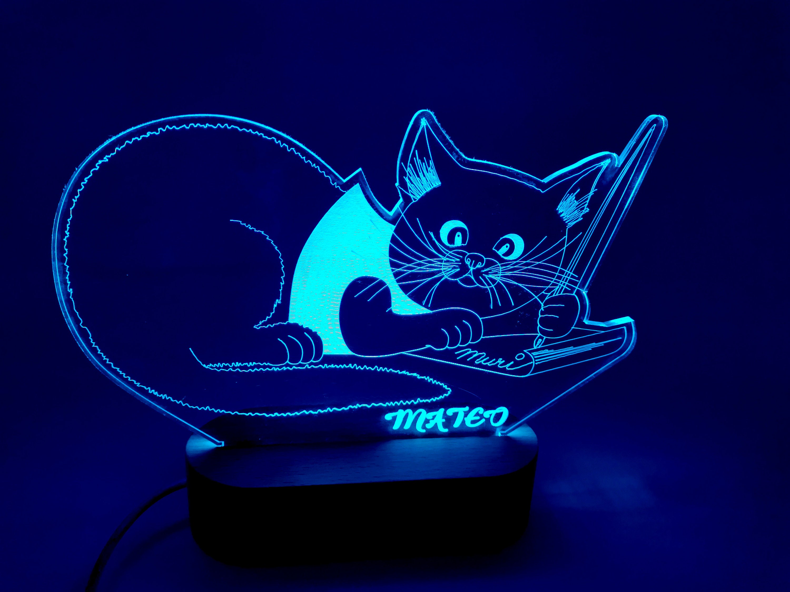 Cat LED Lamp Cat Night Light Gift for Cat Lovers Beloved Etsy