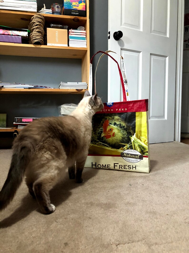 Reusable Shopping Bag