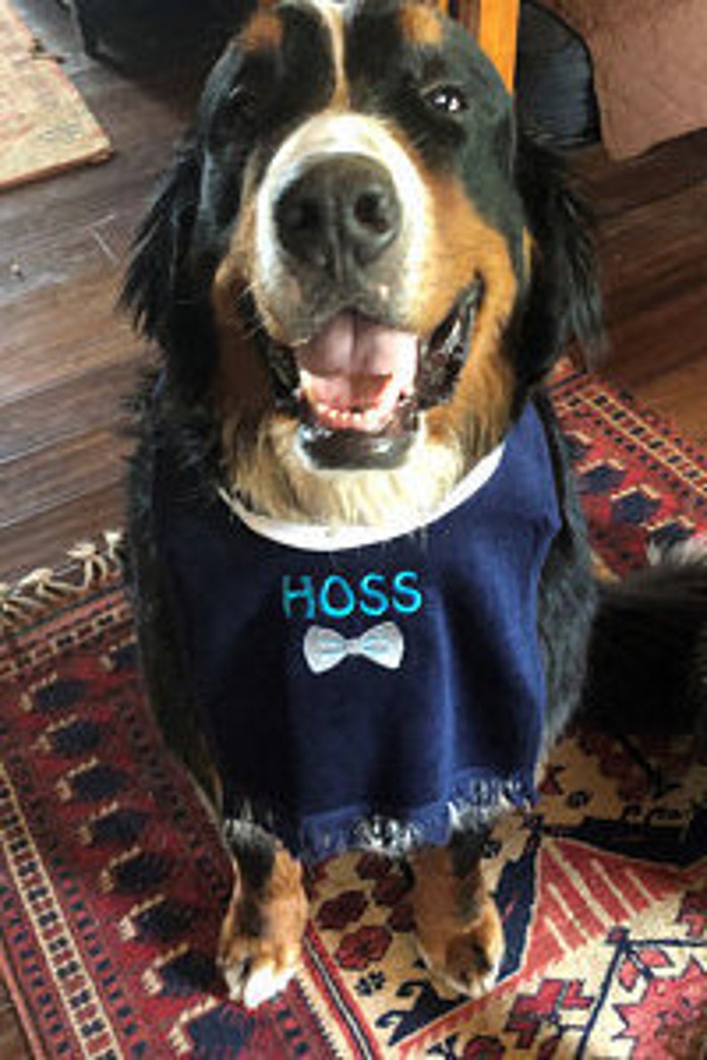 Custom Dog Bib image 7