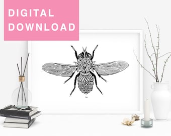 Original Animal Drawing Digital Download, Fly, Art Print, Detailed Ink Drawing