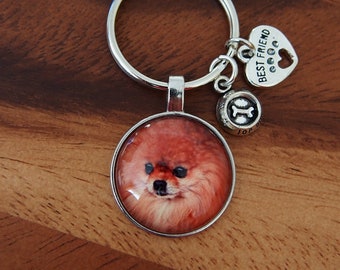 pomeranian keyring