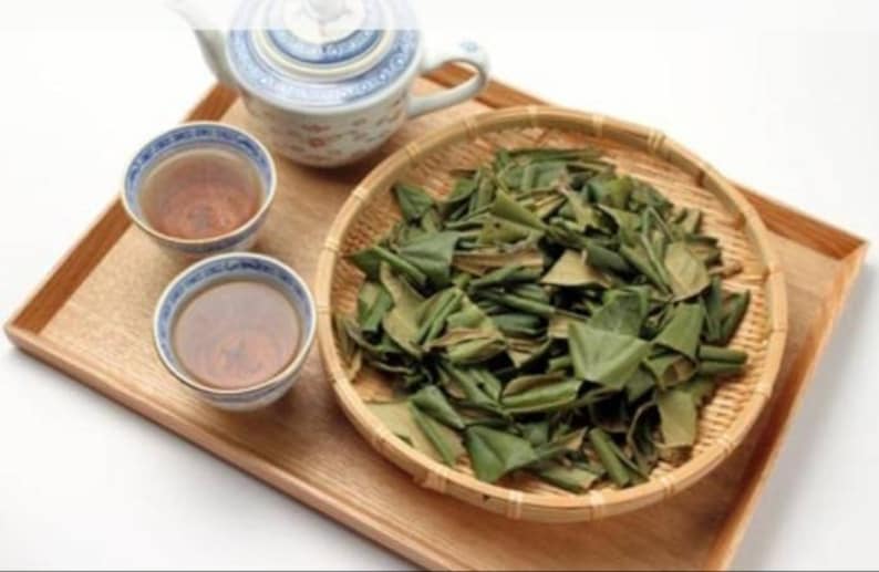 Ча ис. Чайный лист. Листья чая. Зеленые листья доч чая Восточная. Чай из листьев лотоса.