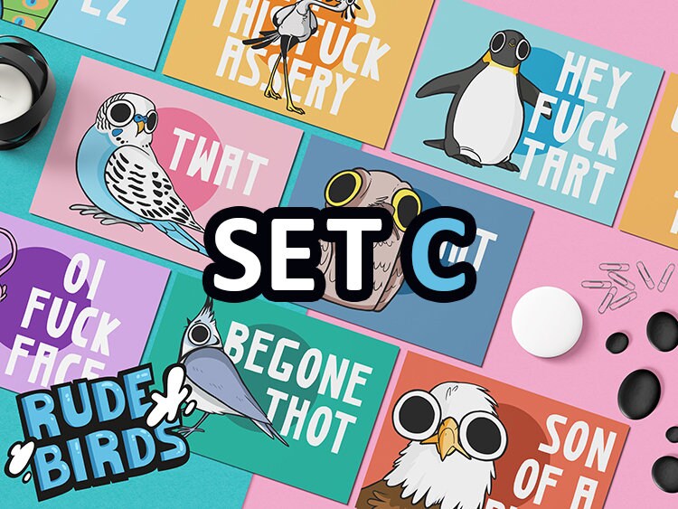 Rude Birds Postcards Set C Etsy