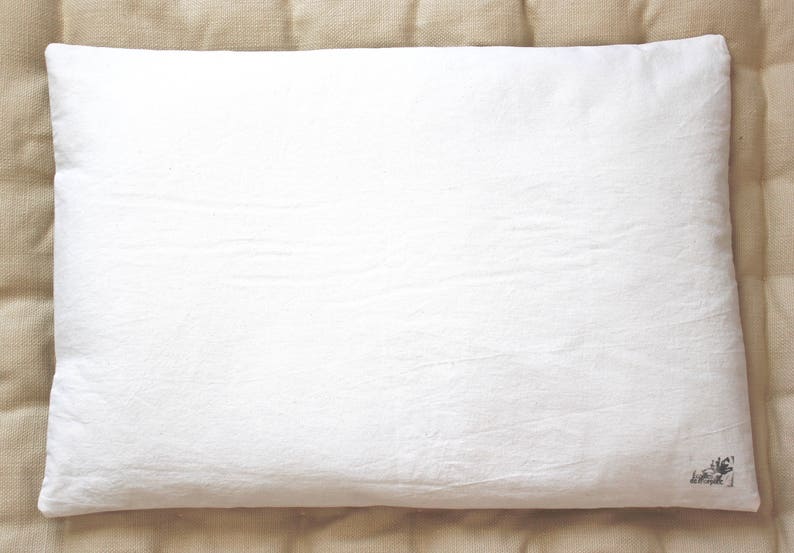 Pillow With Organic Buckwheat For Adult Scales Free Shipping Etsy