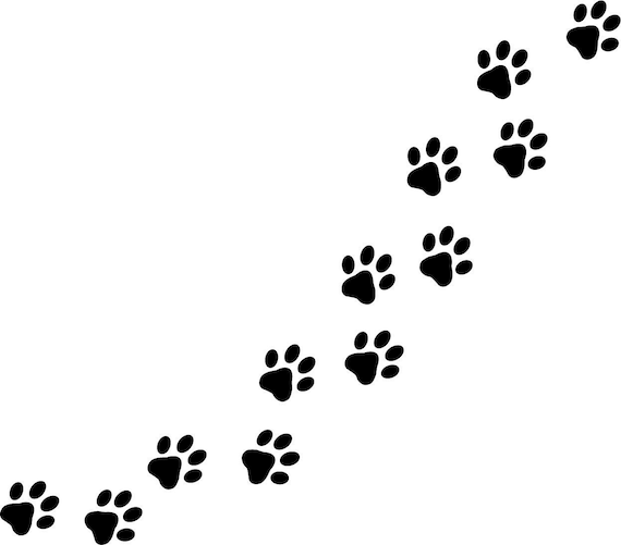 Beschweren Krug Fein katzen pfoten zeichnen