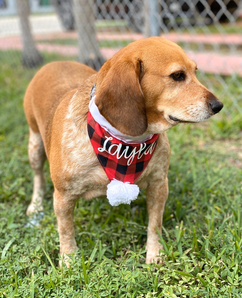 Christmas Dog Bandana Personalized Dog Bandana Over the Etsy