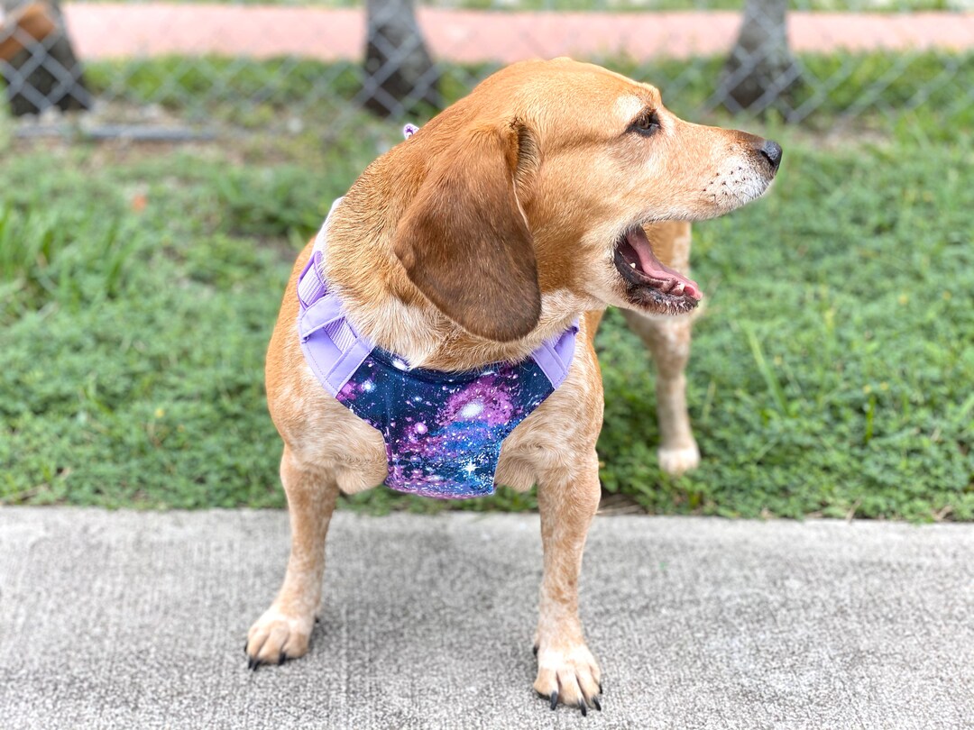 Galaxy Dog Harnessstep in Dog Harness Dog Vest Harness Girl Etsy