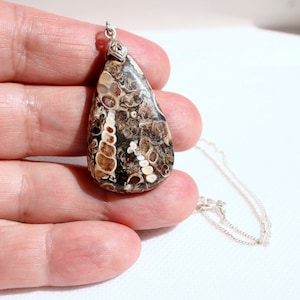 Turritella fossil agate necklace, organic necklace, sterling silver turritella fossil teardrop necklace, gift for her, gift for mom