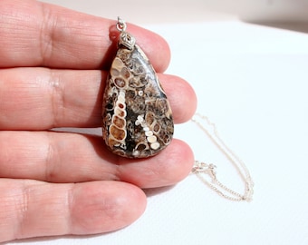 Turritella fossil agate necklace, organic necklace, sterling silver turritella fossil teardrop necklace, gift for her, gift for mom