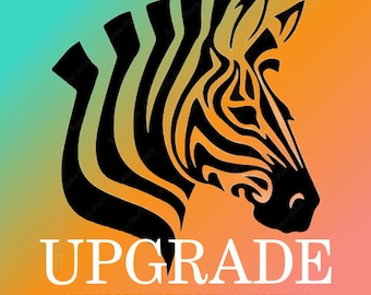 Upgrade Bag Size after purchase - must have purchased a item from our shop