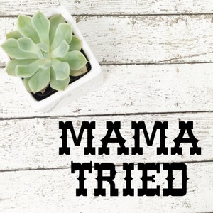 May include: A whitewashed wooden background with a succulent plant in a white pot. The text "MAMA TRIED" is written in black block letters.
