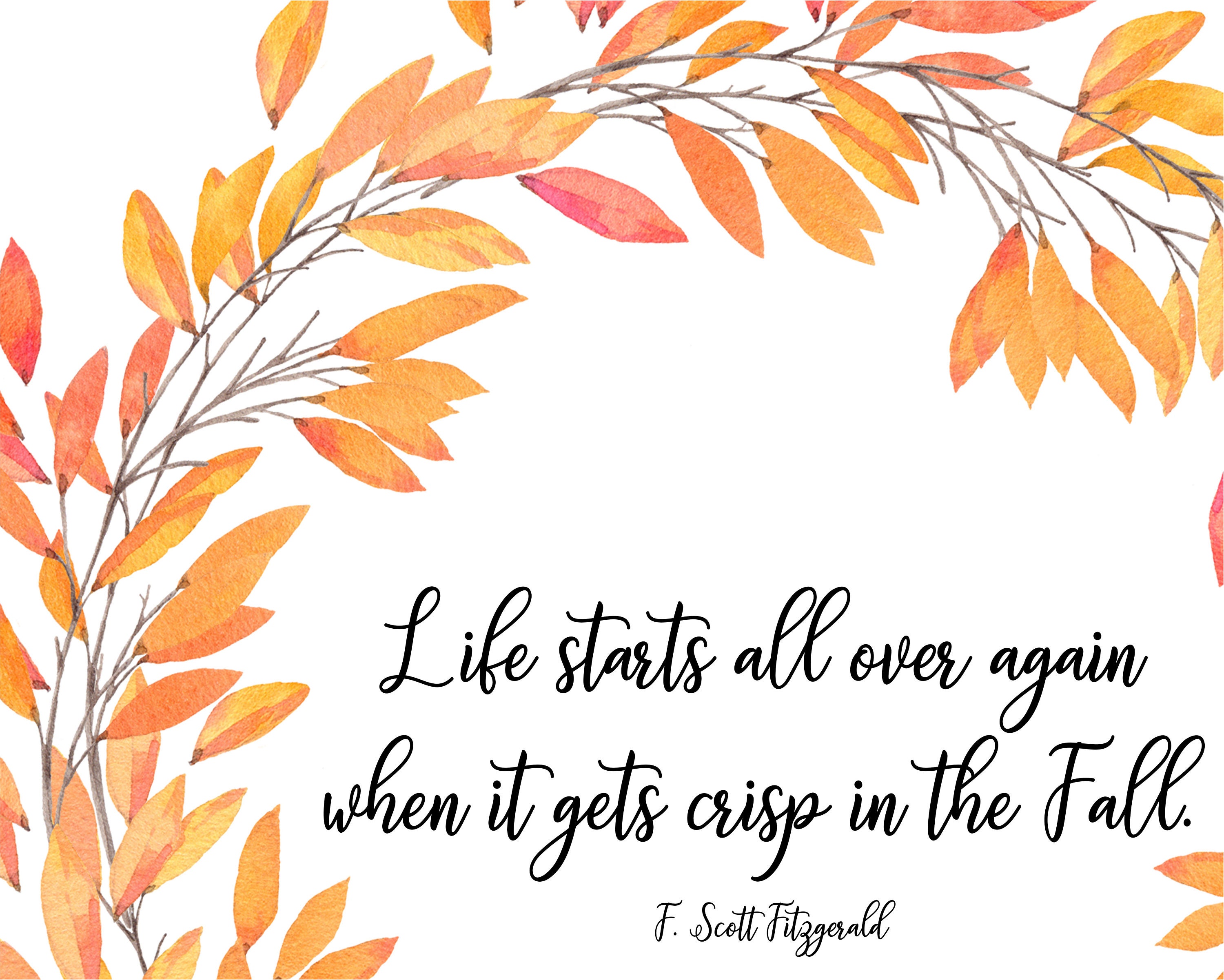Life Starts All Over Again In The Fall