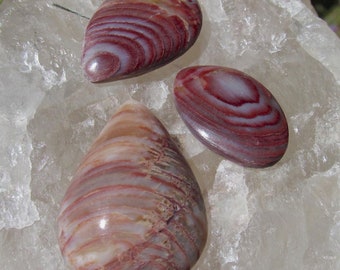 3 Arizona Petrified Wood Cabochons-38 Cts.  Total