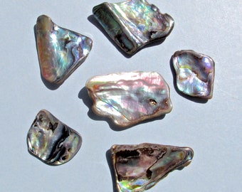 6 Iridescent Abalone Paua Shell Pieces-19 Grams 22mm L X 24mmm to 40mm L X 26mm W