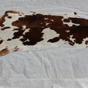 Large Cowhide Rug - 100% Premium Hair-on Hide with Natural Suede Backing In Brown/Off-White