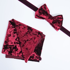 Pocket Square Velvet Crushed Velvet Sequins Matching image 1