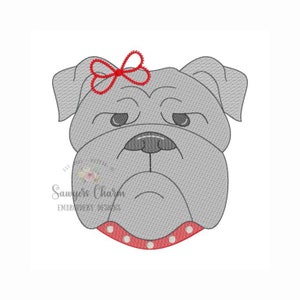 Bulldogg med krage, skissstygn, broderidesign, PAKET, universitetsmaskot, inkluderar kokettrosett