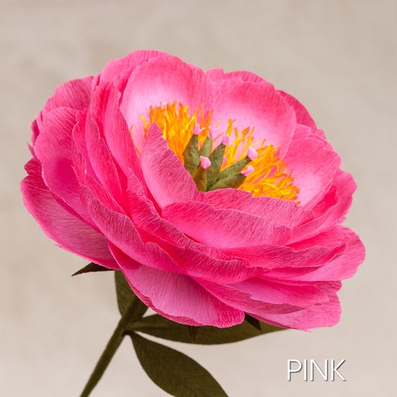 Fiori Di Peonia Carta Singolo Gambo Fiori Di Carta Crespa Carta 1 Anniversario Carta Fiore Carta Decor Matrimonio Oggettistica Per La