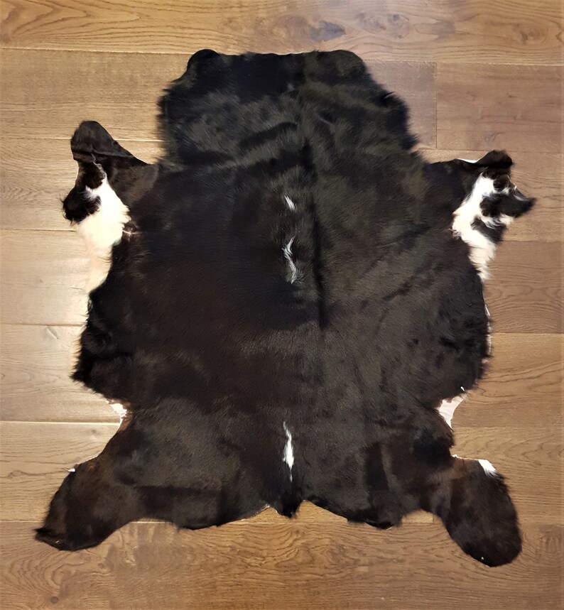 Exotic Animal Hide Rugs Bryont Rugs and Livings