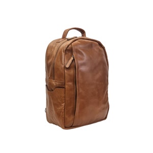 May include: A brown leather backpack with a zipped front pocket and a top handle.