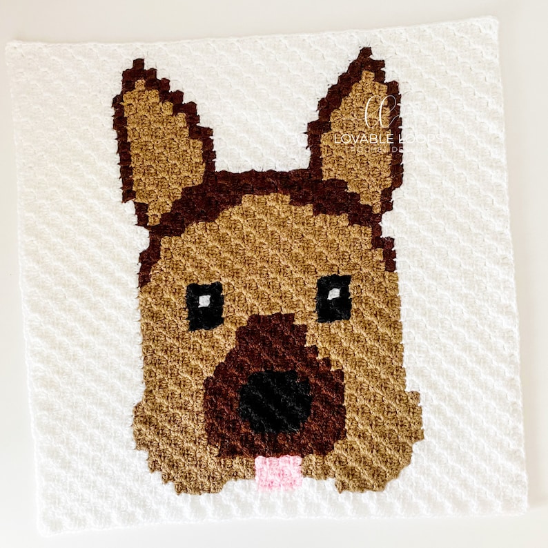 Dog Blanket Crochet Pattern Crochet Dog Blanket Pattern Crochet Dogs c2c Crochet Dog Squares Crochet Dog blanket Dog Patterns image 5