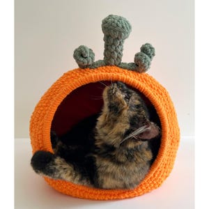 Peut inclure: Un lit pour animal de compagnie rond, orange et crocheté en forme de citrouille, avec une tige vert sauge texturée et des vrilles bouclées sur le dessus. Un chat écaille de tortue aux poils noirs, bruns et orange est recroquevillé à l'intérieur.
